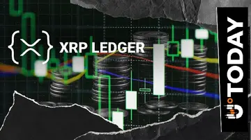 1,8 мільйона щоденних транзакцій: XRP Ledger показує ключове зростання за останнім звітом
