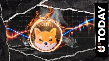 10 684 707 SHIB знищено через сплеск темпу спалення Shiba Inu на 439%