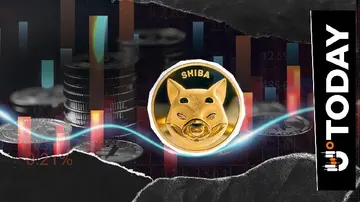 -101,000,000,000 Shiba Inu (SHIB) за 24 години: Чи було здійснено контроль?