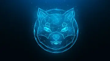 +103% в Shiba Inu (SHIB): Найважливіший показник за 24 години. Чи зможе він врятувати ситуацію?