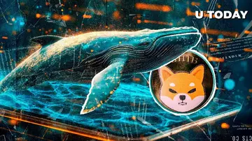 120,000,000,000,000 Shiba Inu (SHIB): Китів повний контроль