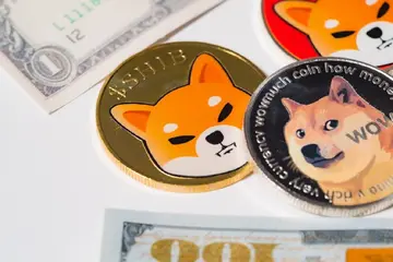 +128% у спотовому потоці Shiba Inu (SHIB) є очевидним: покупці повернулися