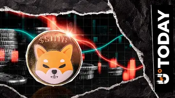 -207 000 000 000 Shiba Inu (SHIB) за 24 години, але ситуація на біржах покращується