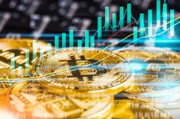 243 000 BTC накопичено з липня: активність біткоїн-китів створює бичачий розворот