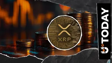25 240 000 XRP вийшли з бірж після несподіваного притоку, що збив з пантелику трейдерів.
