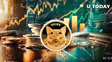 31,447,991 SHIB за кілька годин — про що йдеться?