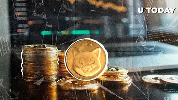 318 000 000 000 Shiba Inu (SHIB) за 24 години: майже нічого
