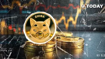 4,870,000,000,000 Shiba Inu (SHIB) за 24 години: Це викликає багато запитань
