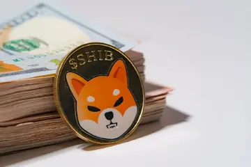 7 з 8 часових рамок спотових потоків Shiba Inu (SHIB) у червоній зоні: що очікувати від ціни?