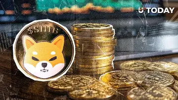 716 000 000 доларів США у Shiba Inu (SHIB): шокуючі резерви біржі не те, що ви думаєте