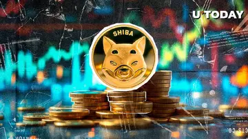 8,9 триллиона SHIB в открытых позициях, что дальше с ценой Shiba Inu?
