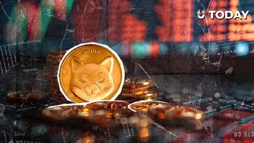 800% аномалія в ланцюзі Shiba Inu (SHIB) надсилає важливий сигнал