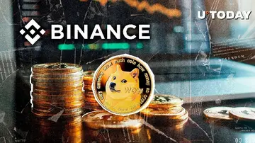 900 000 000 DOGE вразили Binance в одній великій депозити, ціна Dogecoin реагує