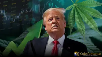 Акції марихуани в США зросли після новин про федеральну ре-класифікацію