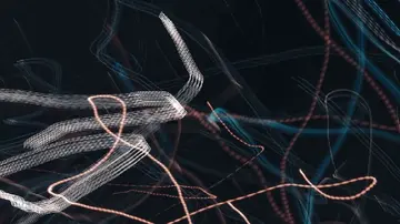 Акт GENIUS потребує рамки Акту CLARITY, стверджує лідер більшості Республіканської партії