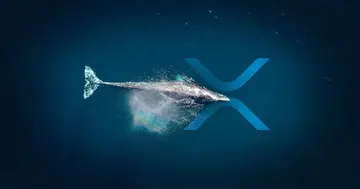 Активність мережі Ripple (XRP) знижується, кити виводять XRP з бірж – що це означає? Аналітик ділиться прогнозом цінового руху