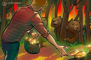 Медвежий рынок биткойна, вероятно, еще за несколько лет: советник Трампа Дэвид Бэйли