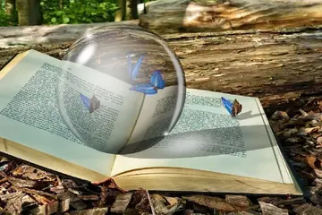 Быки биткойна подвергнуты вызову доji доллара, медвежий MACD XRP перед выступлением ФРС и инфляцией PCE