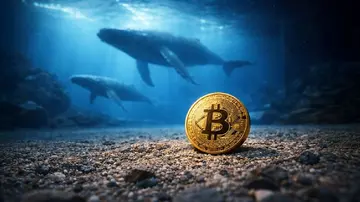 Біткойн-кити купують 38 000 BTC: чи спровокує базова вартість у $70 000 наступний ралі?