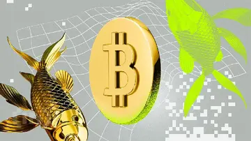 Биткойн против золота: какой из них лучшее вложение в 2025 году?