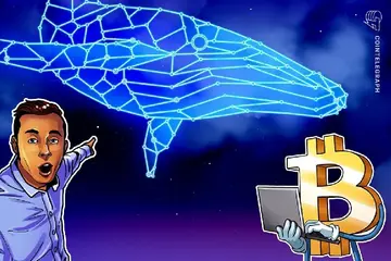 Биткойн-кит снова «сбрасывает» активы, пока BTC остается на уровне $116K