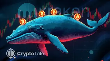 Біткоїн-корабель відправив 100 BTC на Kraken після прибутку в $160 млн від коротких позицій