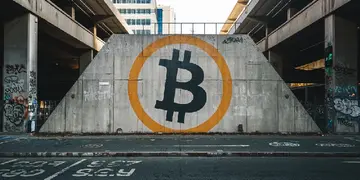 Биткойн укрепляется против акций «Великой семерки» на фоне тряски на Уолл-стрит