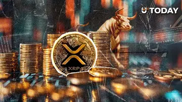 Bitwise купує понад 19 мільйонів доларів XRP