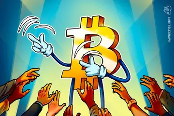 Бизнесы реинвестируют 22% прибыли в биткойн, говорит River