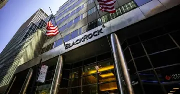 BlackRock повідомляє, що понад 90% інвесторів у біткоїн ETF є довгостроковими накопичувачами
