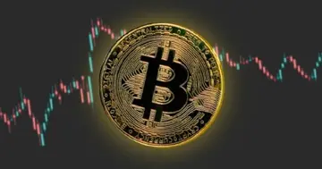 BlackRock придбає біткойнів на суму 211 мільйонів доларів