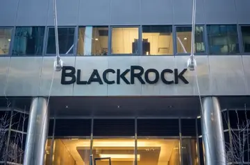 BlackRock только что купила эти акции с полным контролем голосования