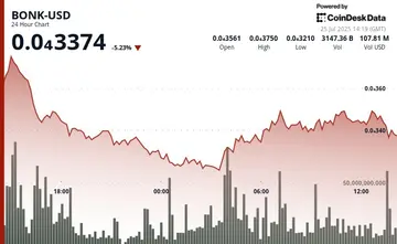 BONK впав на 9% від піка через те, що передачі на біржі переважили новини про спалення