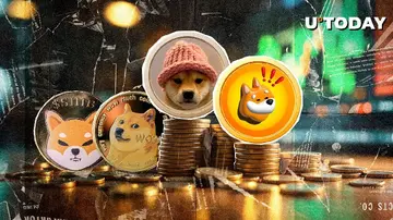 BONK, WIF обогнали SHIB, DOGE в росте на фоне бума BTC