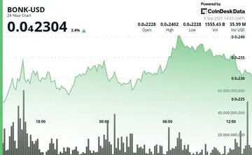 BONK зростає на 9%, незважаючи на те, що інтерес до мемкоінів переходить на нові токени