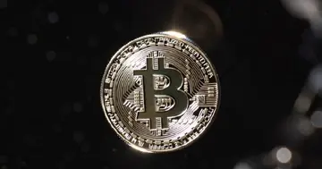 Британська яTreasury B HODL придбала додаткові біткоїни, загальні активи перевищили 158 BTC