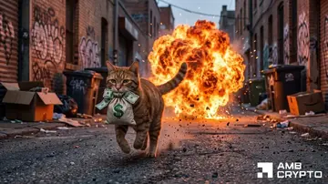 CASHCAT впав на 30% – Але цей же рівень підтримки історично викликав зростання