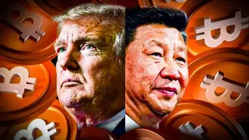 Было ли ралли цены BTC до $95K основано на ложных надеждах? Инвесторы сомневаются в торговой сделке Трампа и Си