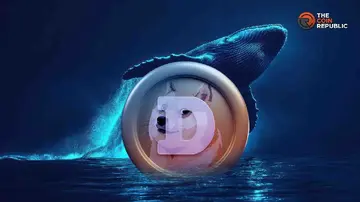 Чи досягне ціна Dogecoin $1 на фоні накопичення китів та оптимістичних сигналів?