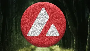 Чи може AVAX Avalanche повернутися до життя? Зона, яка може змінити все