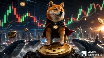 Чи увійшов Shiba Inu в фазу охолодження після свого вибухового зростання? Оцінюємо…