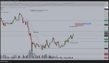 Чому ціна Біткоїна затрималася на рівні 79 тисяч доларів, пояснює Майкл ван де Поппе