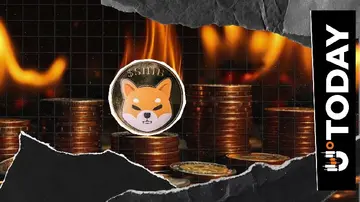 Чому немає спалення SHIB? Пояснення аномалії на основній платформі спалення Shiba Inu