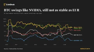 Ціна біткойна коливається так само, як ціна Nvidia, і вісім разів більш нестабільна, ніж євро.