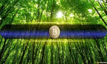 Ціна на біткойн вперше з січня перевищила 80 000 доларів
