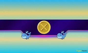 Ціна Ripple опирається на вихід китів XRP, здіймаючись до двотижневого піку