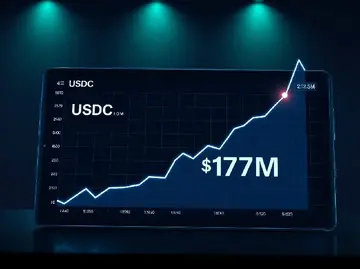 Добовий чистий приплив Hyperliquid USDC досягає максимального рівня за 10 місяців, перевищуючи 173 мільйони доларів