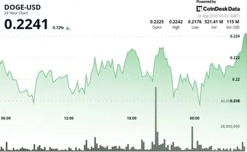 DOGE стикається з тиском продажу, оскільки переказ китів на 200 мільйонів доларів до Binance стримує зростання