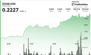 DOGE вырос на 8% из-за покупок китов, сигнализирующих о бычьем прорыве