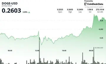 DOGE зростає на 6% напередодні очікуваного запуску ETF